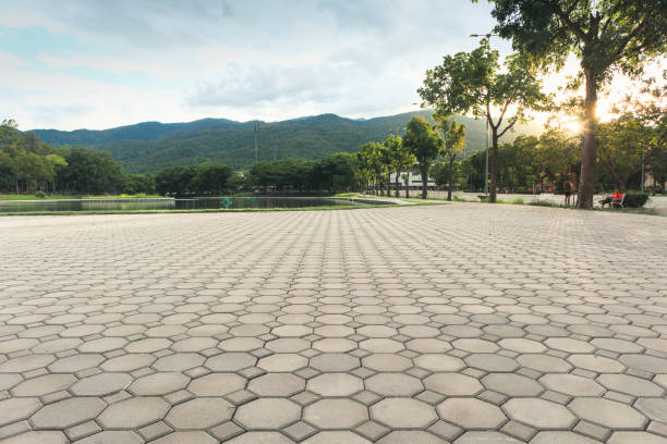 Best Driveway Pavers Near Me  in Arcadia, SC