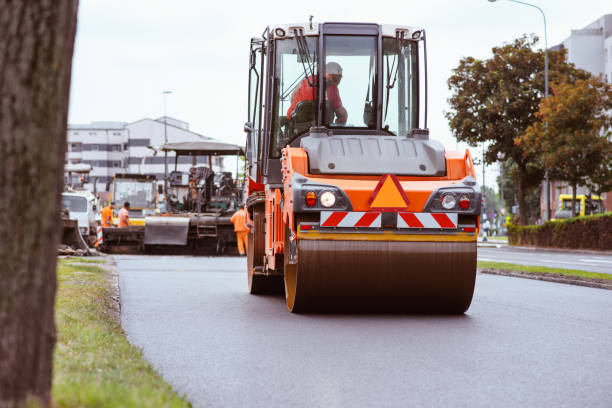 Best Local Driveway Pavers  in Arcadia, SC