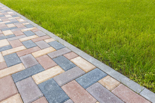 Reasons to Select Us for Your Driveway Paving Requirements in Arcadia, SC